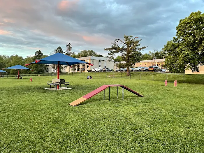 Dog run 3