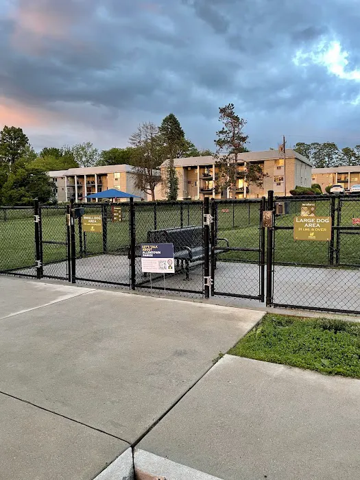 Dog run 5
