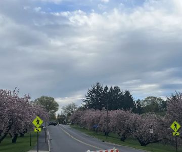 Cedar Creek Parkway West Dog Park