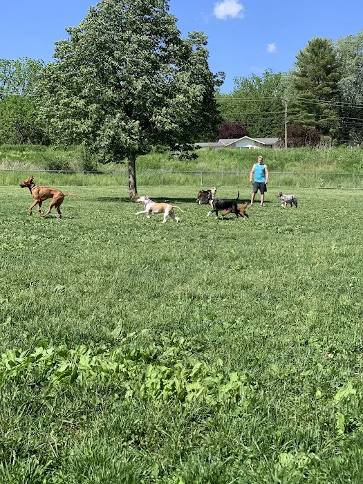 Cedar Creek Parkway West Dog Park 8