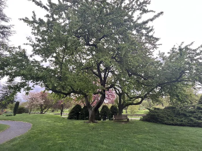 Cedar Creek Parkway West Dog Park 9