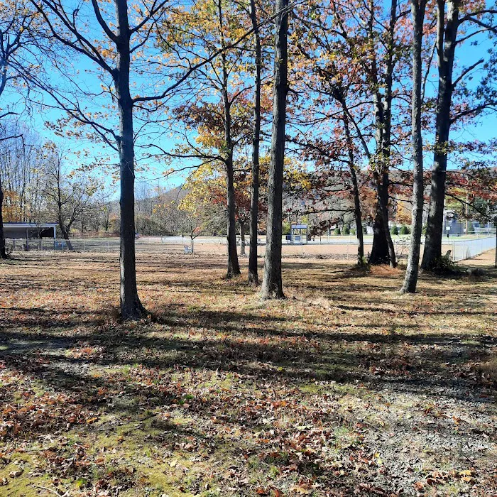 Matamoras Dog Park 3
