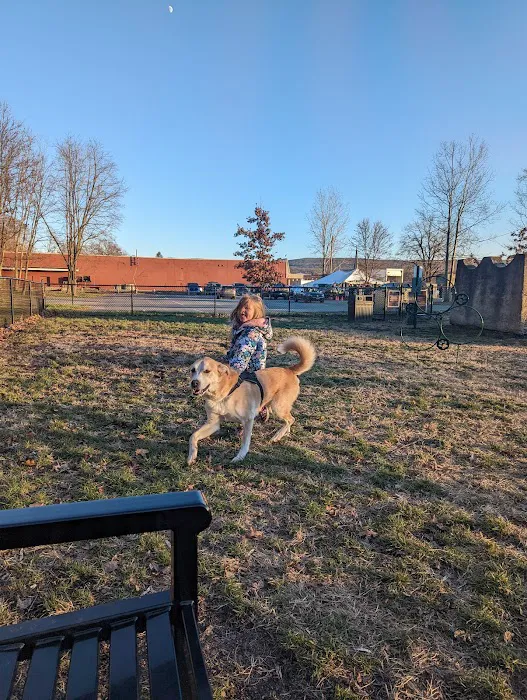 Port Jervis Dog Yard 4