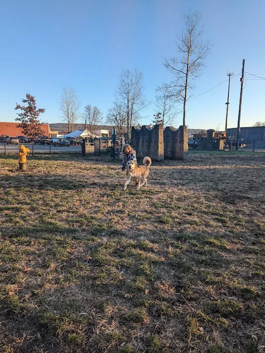 Port Jervis Dog Yard 5