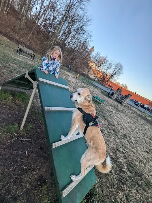 Port Jervis Dog Yard 3