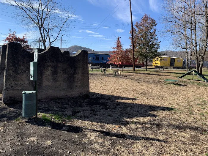 Port Jervis Dog Yard 1