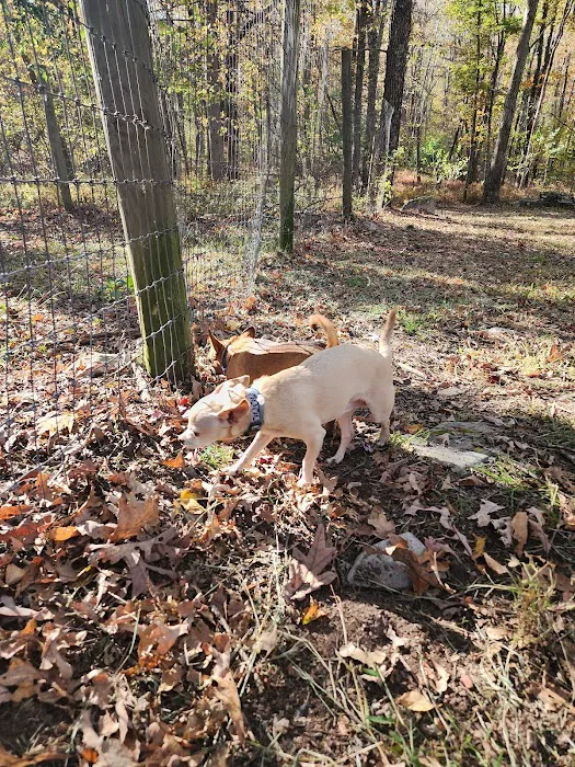 Wild Acres Dog Park 1