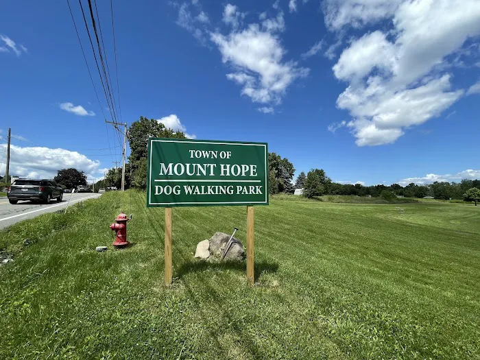 Mount Hope Dog Walking Park 1
