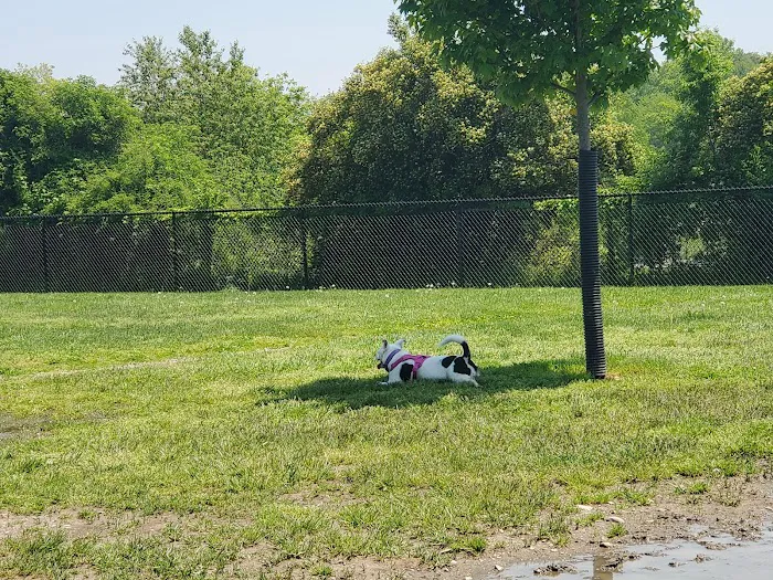 Maple Hill Dog Park 5