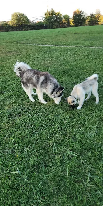 Maple Hill Dog Park 1