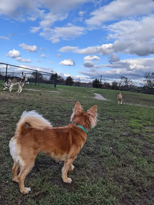 Maple Hill Dog Park 8