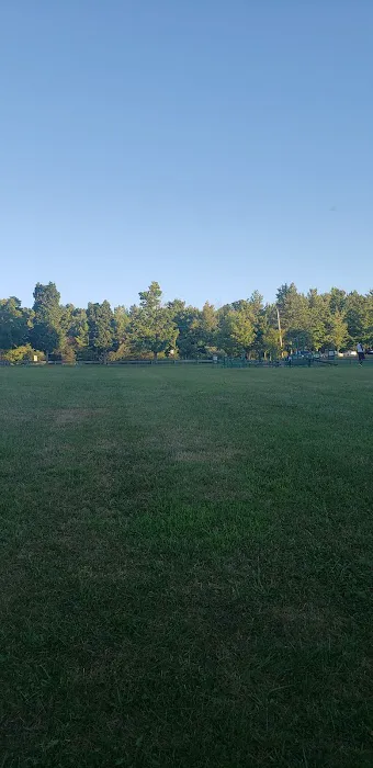 Maple Hill Dog Park 2