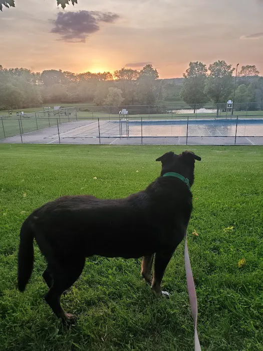 Maple Hill Dog Park 10