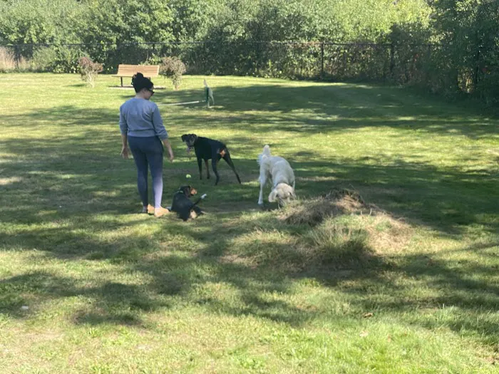 Goshen Dog Park 2