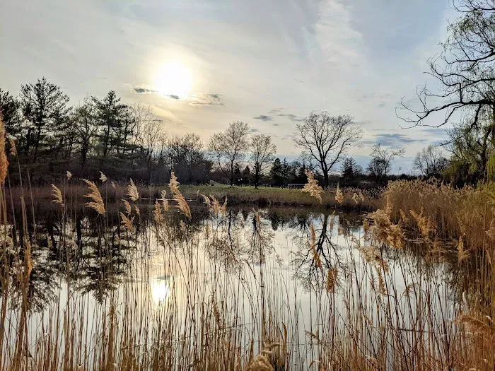 Goshen Dog Park 3