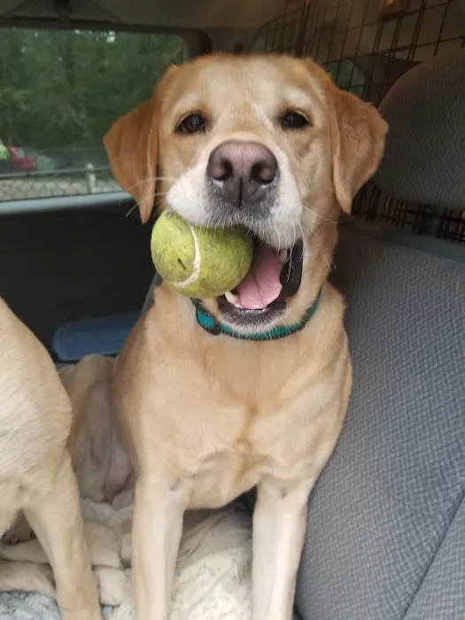 Smith Clove Dog Park 1