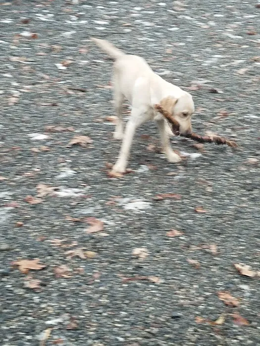 Smith Clove Dog Park 8
