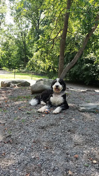 Smith Clove Dog Park 9