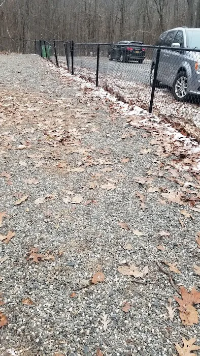 Smith Clove Dog Park 4