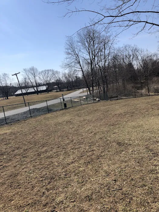 Dog Park at Thomas Bull Memorial Park 7
