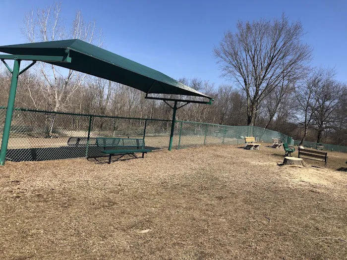 Dog Park at Thomas Bull Memorial Park 10