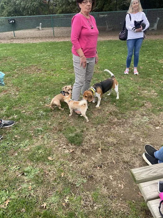 Dog Park at Thomas Bull Memorial Park 9