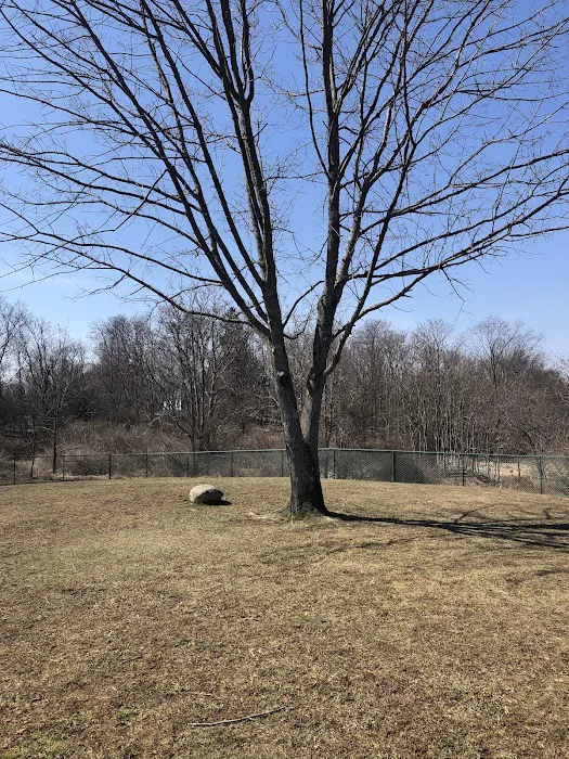 Dog Park at Thomas Bull Memorial Park 8