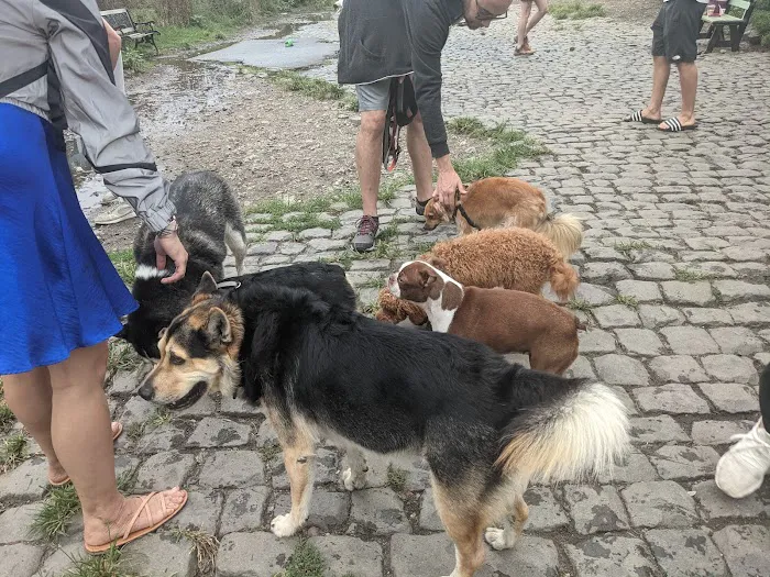 Palmer Doggie Depot 10
