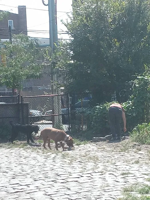 Palmer Doggie Depot 3