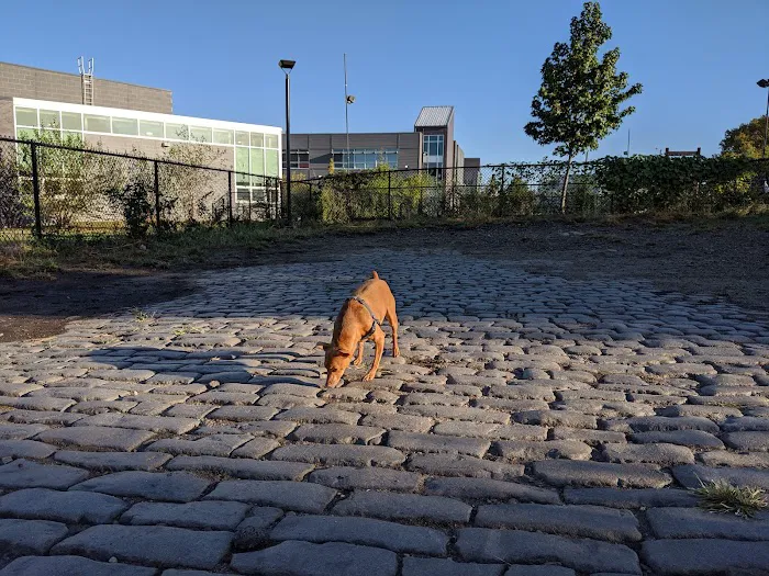 Palmer Doggie Depot 9