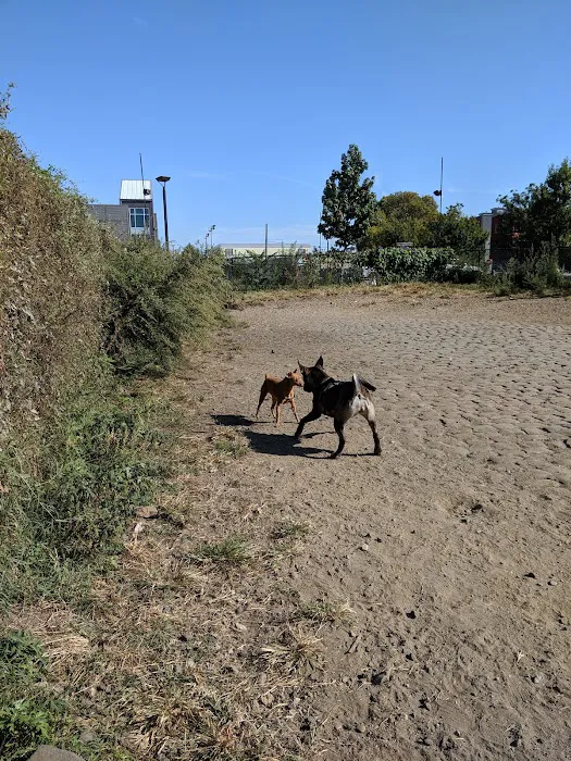 Palmer Doggie Depot 7