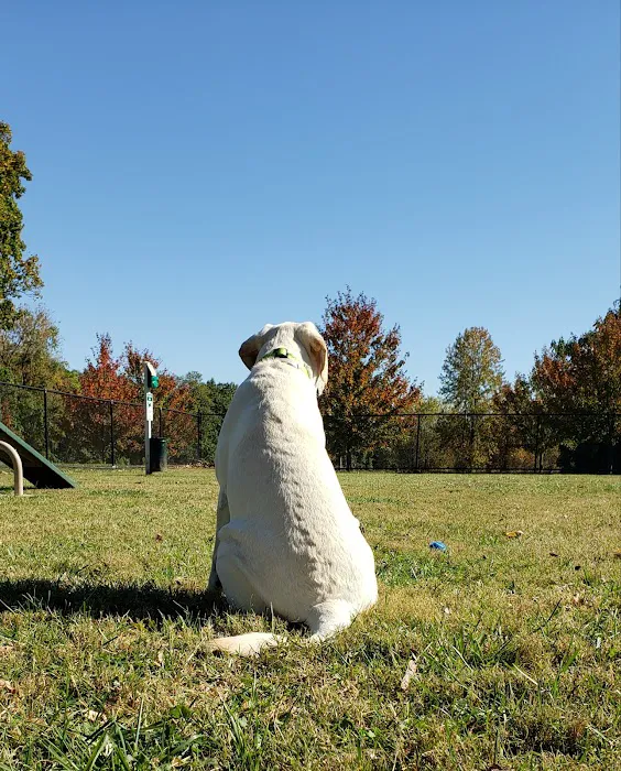 Lynnewood Gardens Dog Park 4