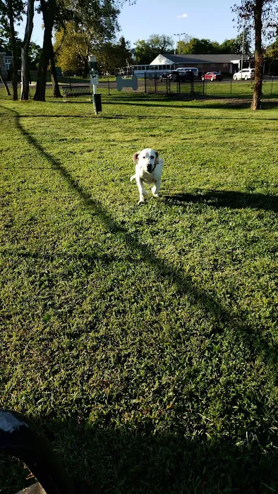 Lynnewood Gardens Dog Park 3