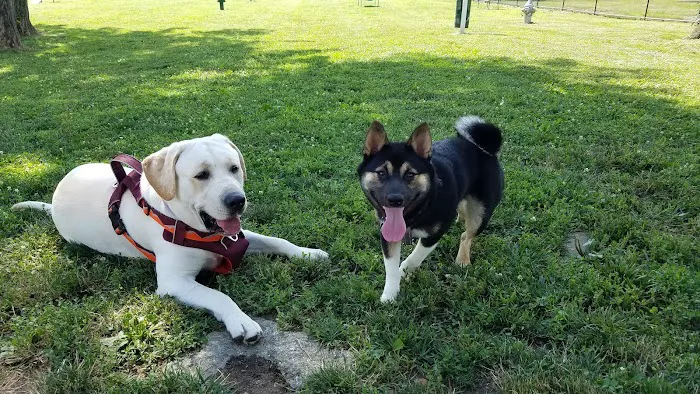 Lynnewood Gardens Dog Park 6