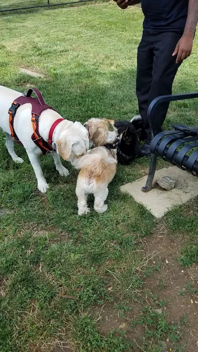 Lynnewood Gardens Dog Park 2