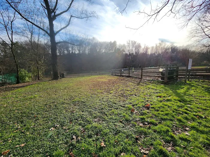 Curtis Dog Park 7