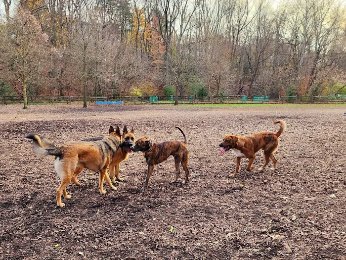 Curtis Dog Park 9