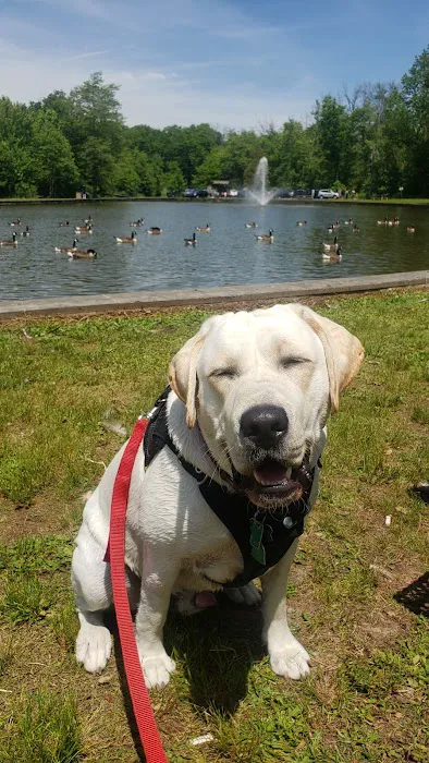 Horsham Dog Park 4