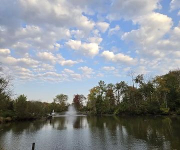 Horsham Dog Park