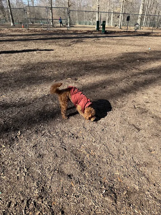 Horsham Dog Park 10