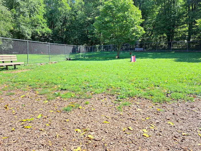 MonDaug Bark Park 5