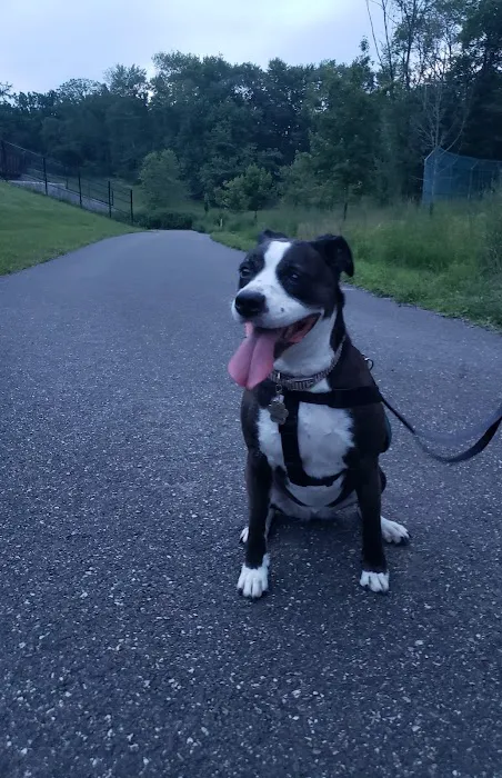 MonDaug Bark Park 3