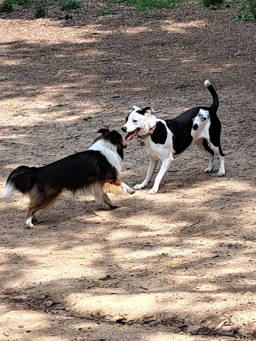 MonDaug Bark Park 8