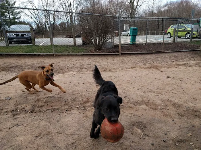 MonDaug Bark Park 4