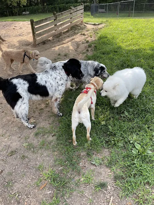 MonDaug Bark Park 10