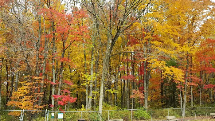 MonDaug Bark Park 1