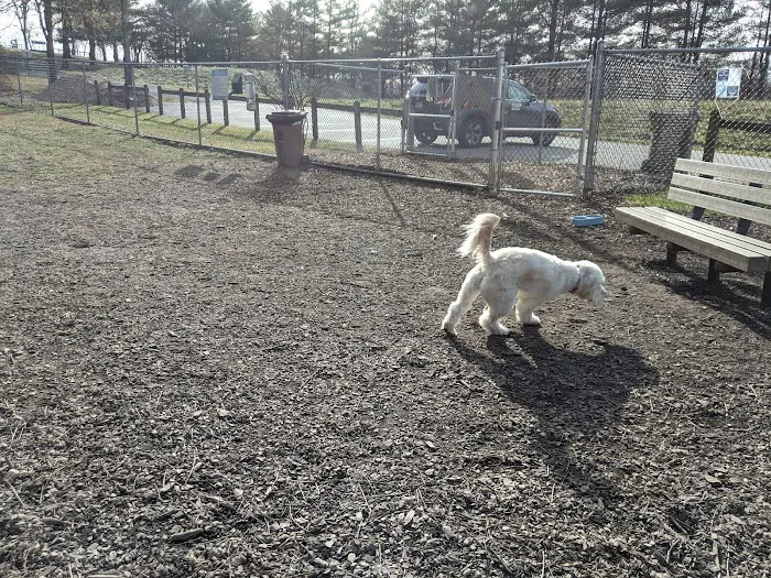 MonDaug Bark Park 6