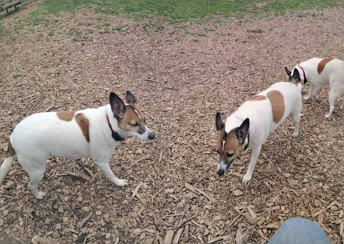MonDaug Bark Park 2