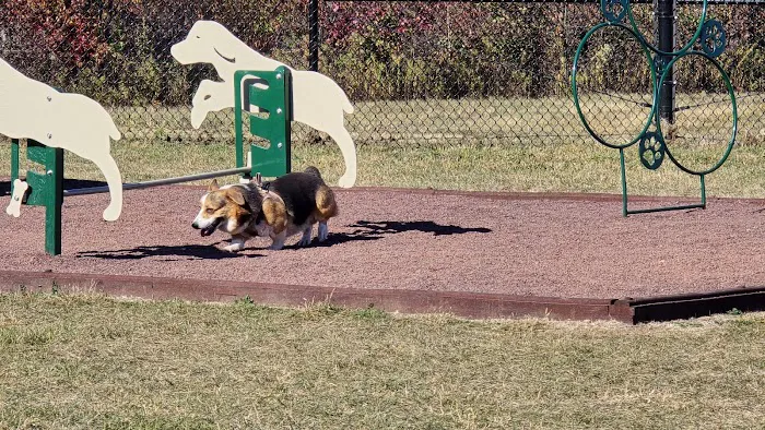Knapp Road Bark Park 9