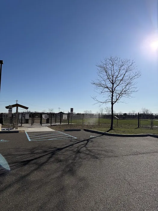 Knapp Road Bark Park 7